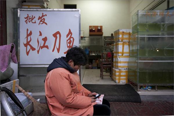 长江刀鱼涨至1.5万元一公斤：明年起或禁捕