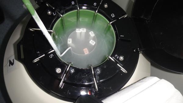 上海地下代孕:68万包成功 检查、手术都在民宅