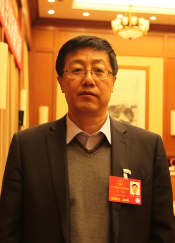 武钢:期待新疆电网联通吸纳更多可再生能源