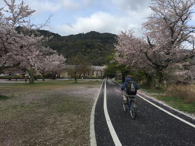 玩儿法：谁说手机拍不出大片儿？