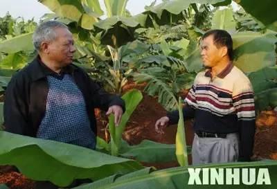 退休高官当农民:副国级6点喂鸡 副省级带人脱贫