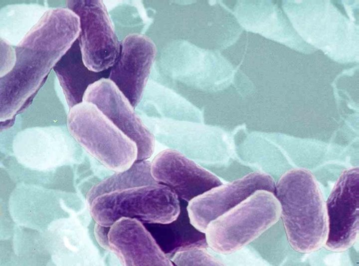 盖被子治感冒的中国人,你一直捂错了!