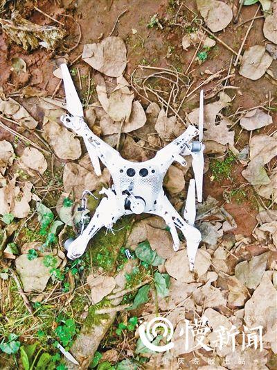 万元无人机航拍老虎 被一掌击落“秒变残渣”