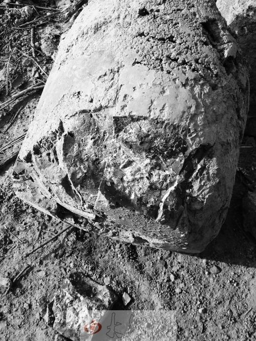 河南一村民在垃圾场捡塑料袋后中毒死亡