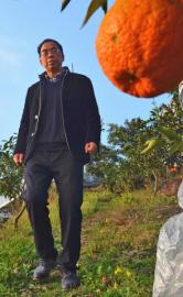 范敬超在采果节前检查采摘线路。