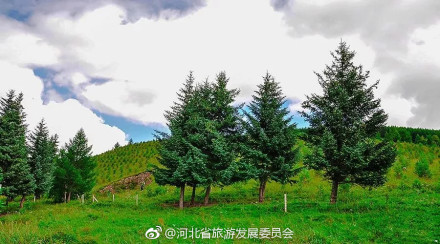 绝美塞罕坝，每一张都美的像壁纸