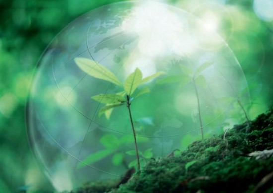 《中国经济周刊》 记者 王山山 | 北京报道