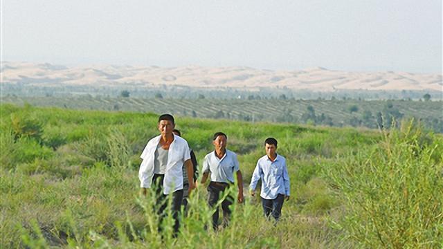 八年围封七万亩沙漠!陕北治沙人卖矿筹亿元资金,造万亩绿洲!