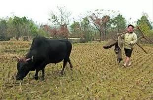 退休高官当农民:副国级6点喂鸡 副省级带人脱贫