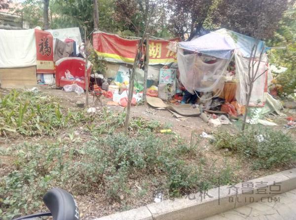 泰安流浪女绿化带里搭起“三室一厅”