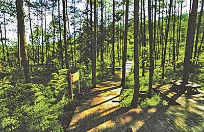 贵州国家森林公园改建高尔夫球场 2万亩山林被毁