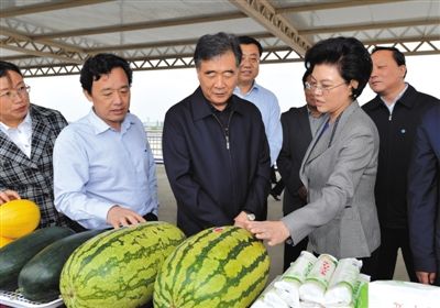 9月22日，中共中央政治局委员、国务院副总理汪洋在宁夏回族自治区领导刘慧等陪同下，来到贺兰县习岗镇，考察了解新平现代设施农业示范园区发展情况。记者 左鸣远 摄