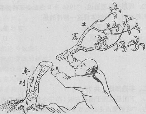 反思：晚清“立宪”为何输给“革命”