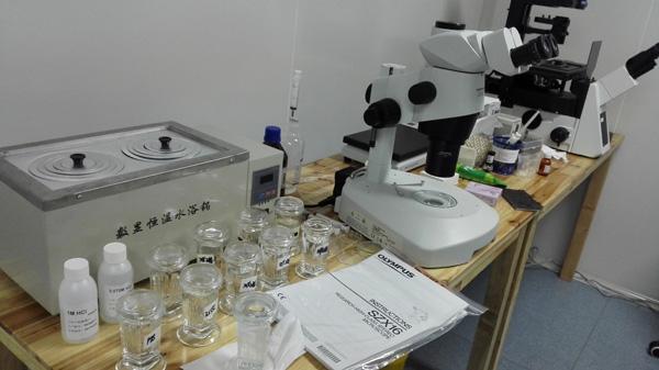 上海地下代孕:68万包成功 检查、手术都在民宅