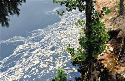 5月22日，被称为“第三濮清南”的引黄灌渠，满河都是黑水，水面靠岸的部分有棕色泡沫漂浮，并散发着臭气。新华社记者 李安 摄