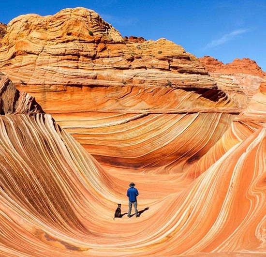 美国小伙患绝症毅然辞职,带爱犬周游全美