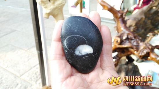 白色的图案颇像一只小白鼠