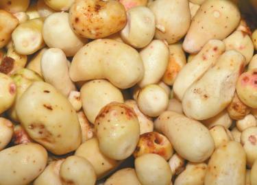 黑心商用焦亚硫酸钠漂白芋头 称自己从不吃