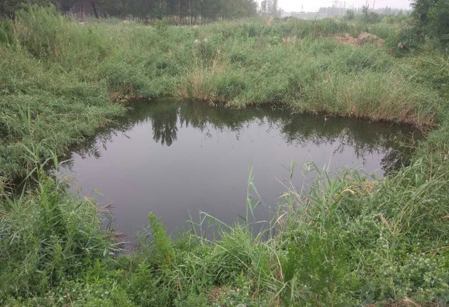 准新娘拍完婚纱照猝死：那些拿命换钱的人