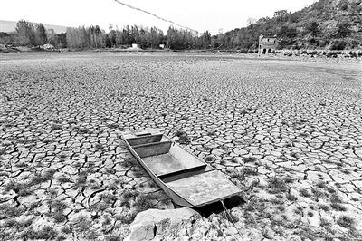 河南63年来最重旱灾目击：领导送水像走过场