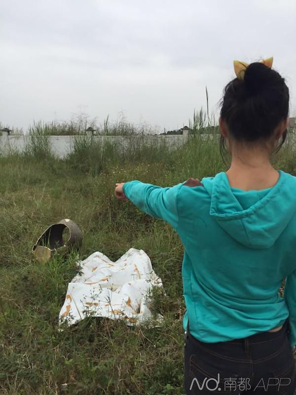 女子路边被强奸 警车到场男子仍在施暴(图) 