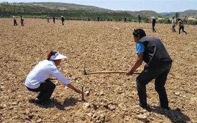 陕北400余农民因土地纠纷引“私分”他人田地