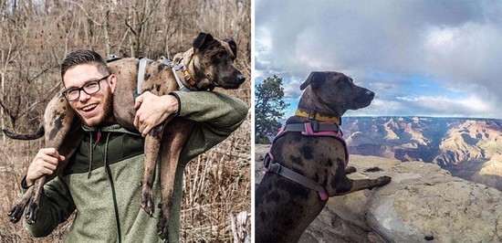 美国小伙患绝症毅然辞职,带爱犬周游全美