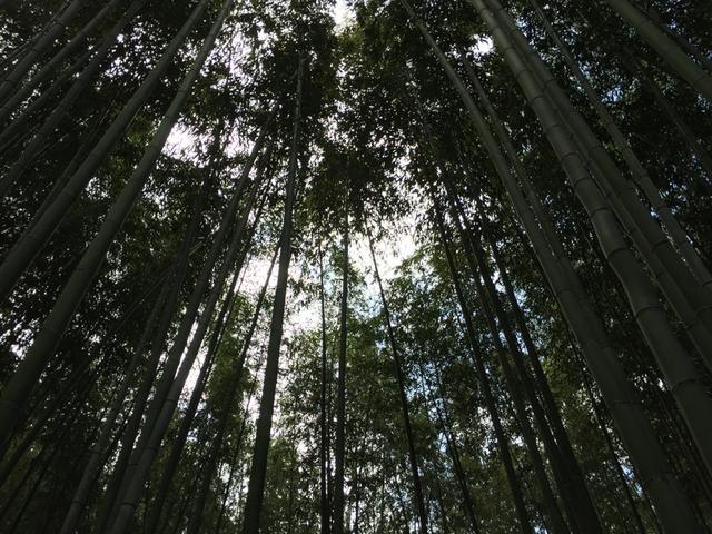 玩儿法：谁说手机拍不出大片儿？