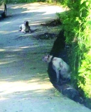 事发当时图片(资料图)