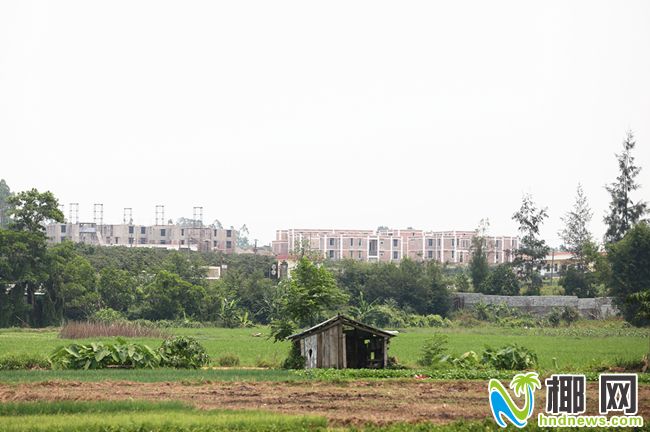 临高15栋违建别墅“雷打不动” 曾被媒体多次曝光