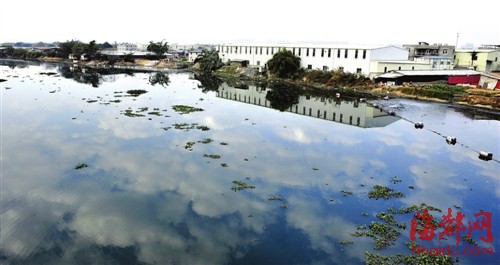 如今，各地都是雾霾，拥有蓝天白云是上天给福州的恩赐，但在此处蓝天白云下，却是腥臭发黑的河水