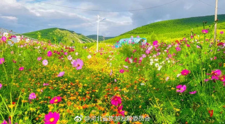 绝美塞罕坝，每一张都美的像壁纸