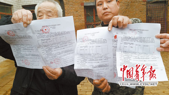 虽然去年刚刚签订了为期10年的土地流转合同，但是成安县北郎堡村村民的250多亩耕地依然遭包地“老板”“毁约弃耕”。本报记者樊江涛/摄