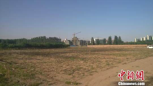 村民反映，在没有办理用地手续的情况下，近千亩耕地已被圈占征用。 肖光明 摄