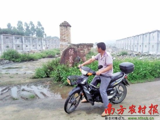 图为沙坭村被征用的 图为沙坭村被征用的