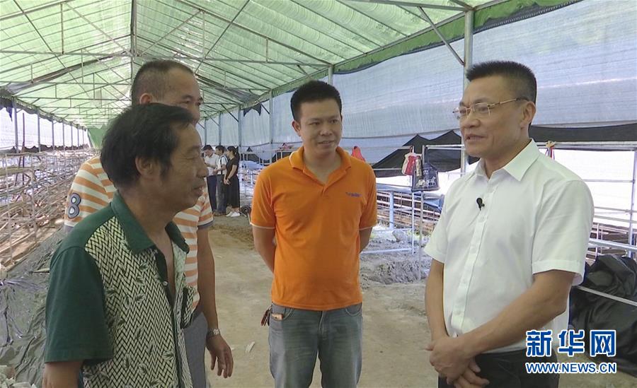 （新时代担当作为典型风采·图文互动）（1）南平市委副书记张国旺：“解决问题的能手”