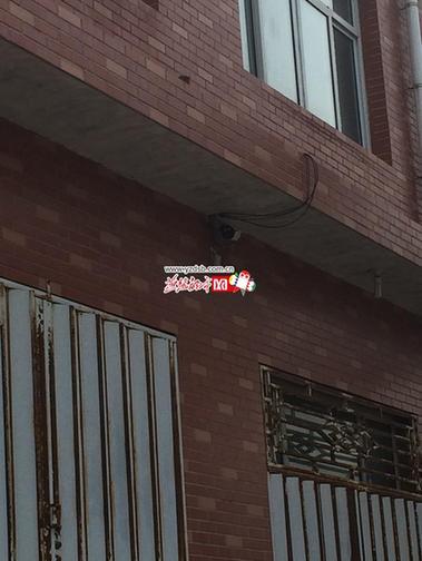 外有监控内有恶狗 邢台排污企业挖暗沟直排废酸