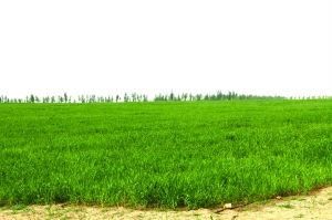 实施七彩准能发展战略建设世界一流煤炭综合能源企业