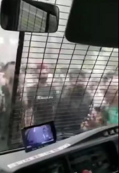 1564754589469277.jpg 1564754589469277.jpg